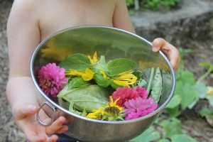 flowers in toddler hands