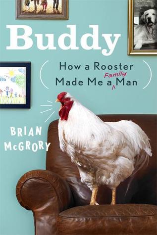 Buddy-How-A-Rooster-Made-Me-a-Man-by-Brian-McGrory