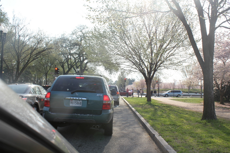 cherry blossom traffic