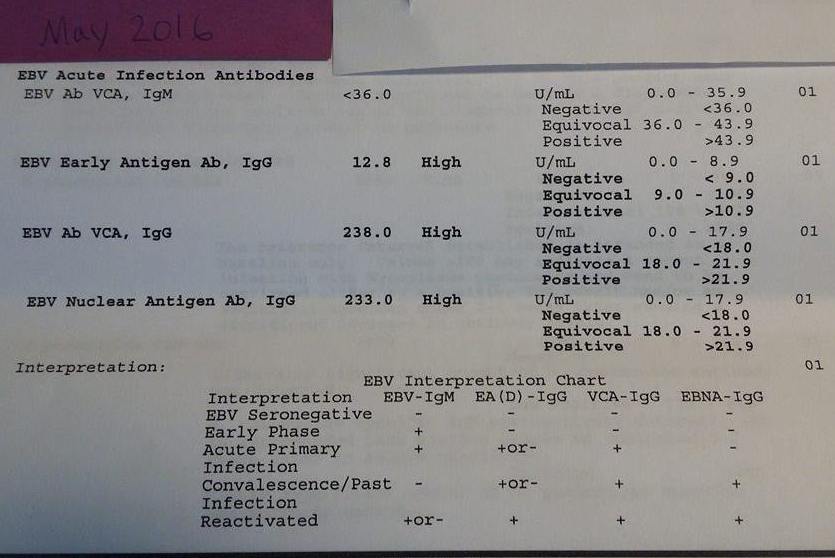 Barr virus igg положительный